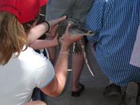 dscn2108.jpg(1151923 bytes) -- NIKON-E990,  2004:07:08 22:53:04,  [2048 x 1536],  fl=Y,  f=23.4mm,  exptime=0.0083 s  (1/120),  f/4.0