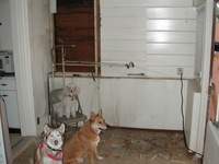 E990, 2005:01:09 15:59:04 -- 2/239 sec, f/2.5.  Flash.2048x1536 NORMAL .