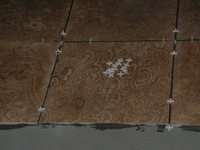 E990, 2005:01:25 23:44:42 -- 2/239 sec, f/3.8.  Flash.2048x1536 NORMAL .