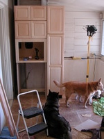 E990, 2005:01:31 11:15:40 -- 5/227 sec, f/2.5.  No Flash.2048x1536 NORMAL .