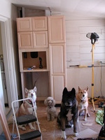 E990, 2005:01:31 11:16:25 -- 1/39 sec, f/2.5.  No Flash.2048x1536 NORMAL .