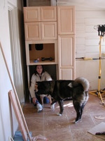 E990, 2005:01:31 11:19:08 -- 5/187 sec, f/2.5.  No Flash.2048x1536 NORMAL .