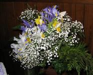 IMG00070.JPG(2129970 bytes) -- [2050 x 1650],  