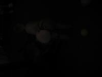 dscn2091.jpg(600167 bytes) -- NIKON-E990,  2004:07:05 15:28:08,  [2048 x 1536],  fl=Y,  f= 8.2mm,  exptime=0.0084 s  (1/120),  f/2.5