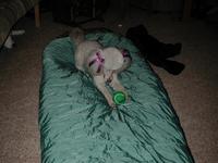 dscn2098.jpg(1023499 bytes) -- NIKON-E990,  2004:07:06 20:40:02,  [2048 x 1536],  fl=Y,  f= 8.2mm,  exptime=0.0084 s  (1/120),  f/2.5