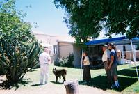 1800423-r1-020-8a.jpg(1321398 bytes) -- [1800 x 1215],  