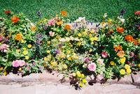 1800423-r1-024-10a.jpg(1539722 bytes) -- [1800 x 1215],  