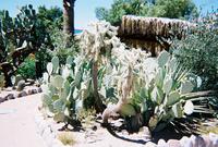 1800423-r1-028-12a.jpg(1411322 bytes) -- [1800 x 1215],  