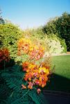 1800424-r1-030-13a.jpg(1403979 bytes) -- [1215 x 1800],  