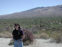 dscn0597.jpg(716790 bytes) -- NIKON-E990,  2002:04:27 10:44:17,  [2048 x 1536],  fl=N,  f= 8.2mm,  exptime=0.003 s  (1/318),  f/6.2