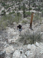 dscn0601.jpg(759092 bytes) -- NIKON-E990,  2002:04:27 11:24:54,  [2048 x 1536],  fl=N,  f= 9.1mm,  exptime=0.003 s  (1/391),  f/6.4