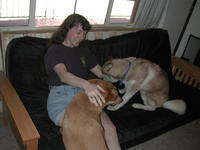 dscn0607.jpg(631290 bytes) -- NIKON-E990,  2002:04:27 13:35:56,  [2048 x 1536],  fl=Y,  f= 8.2mm,  exptime=0.008 s  (1/120),  f/2.5